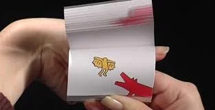 Anne-Marie et Corinne font un Flap dans le Flip Book