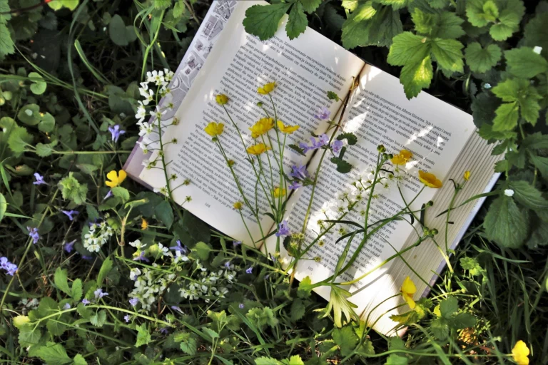 Le printemps s&rsquo;invite à Livresse