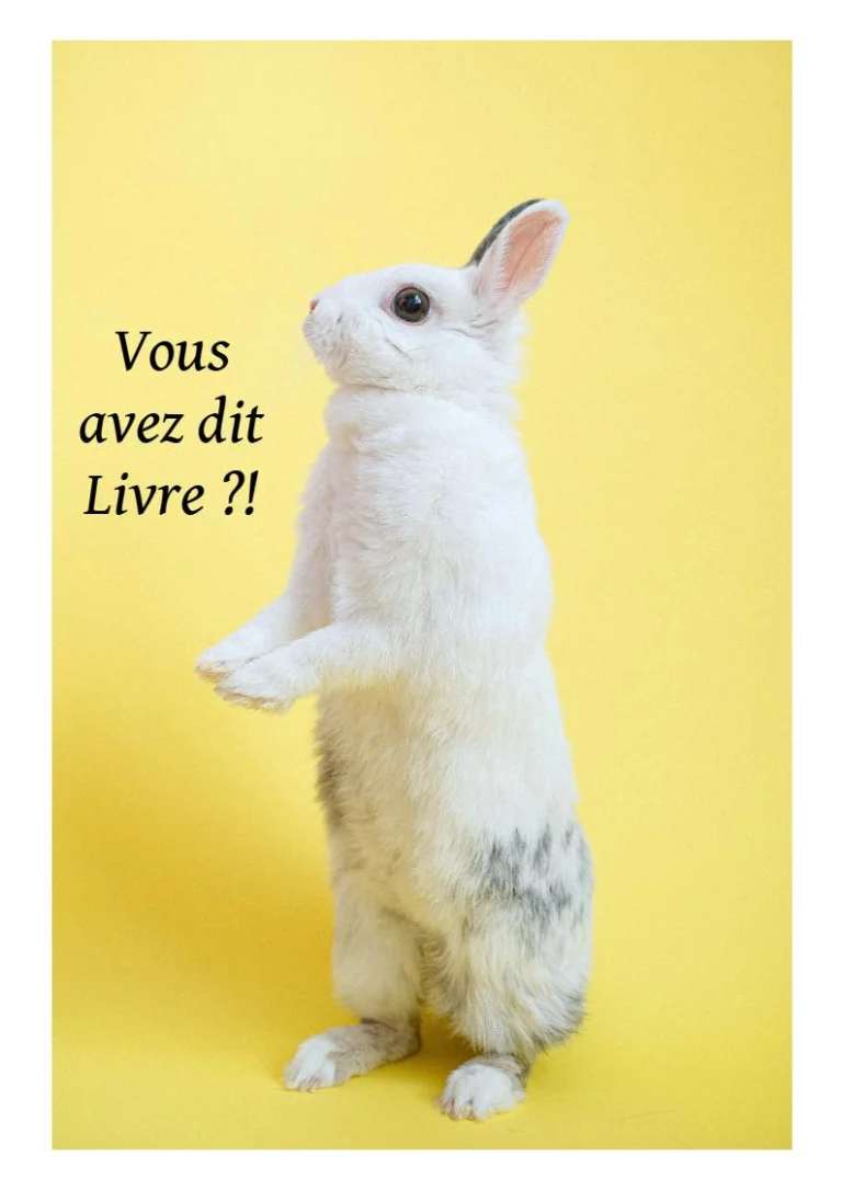 Des œufs, des lapins et des livres !