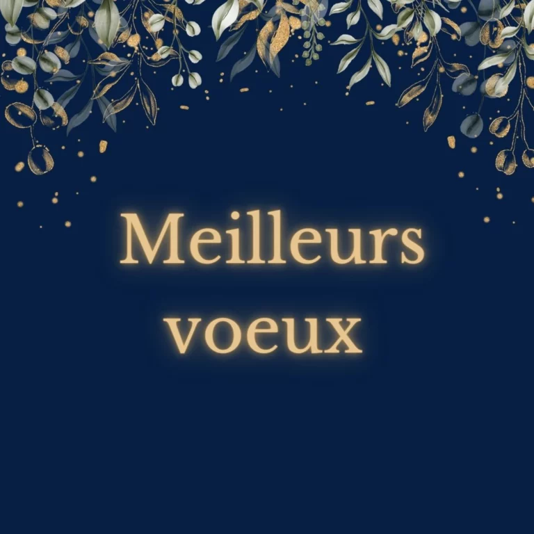 Meilleurs vœux pour 2023!